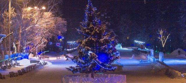 В Хабаровске организуют фестиваль снежных скульптур