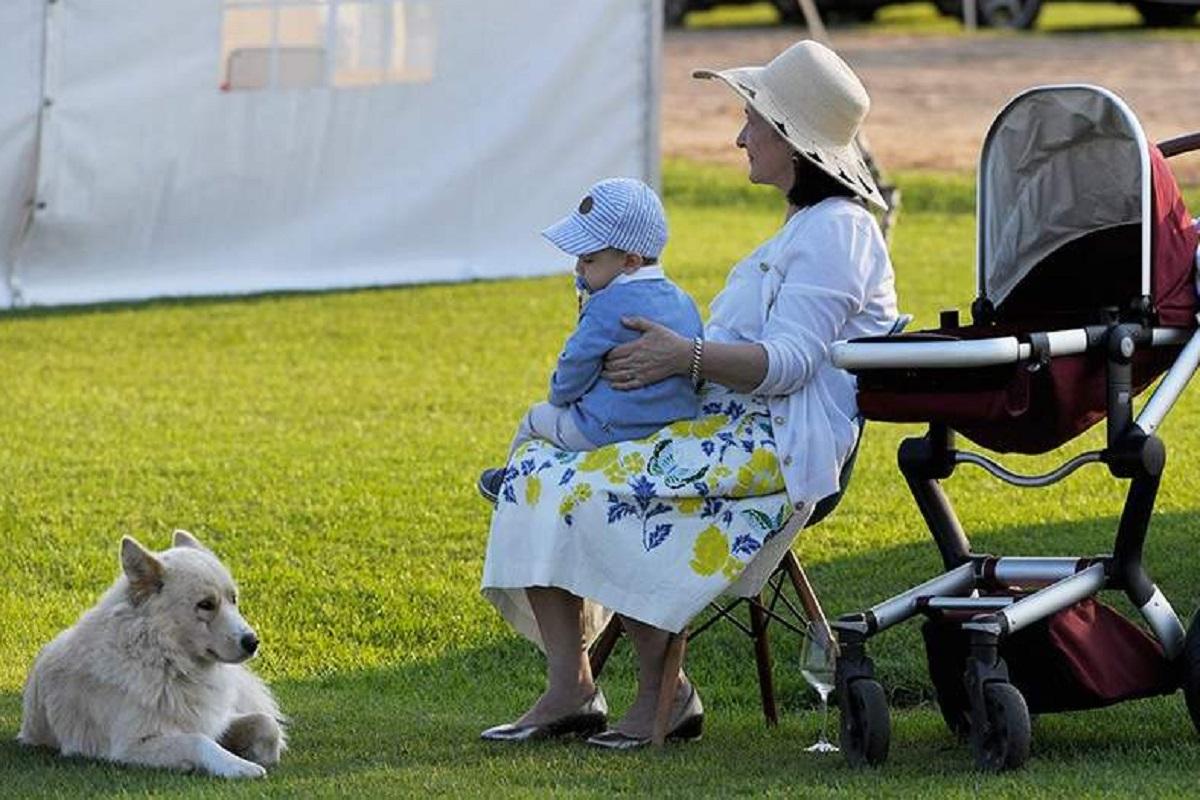 В Липецкой области многодетным мамам и женам участников СВО помогут няни