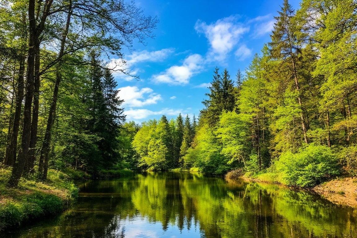 12,5 миллиарда на парки: как Подмосковье за 7 лет преобразило 500 зон отдыха и что построят в 2026 году