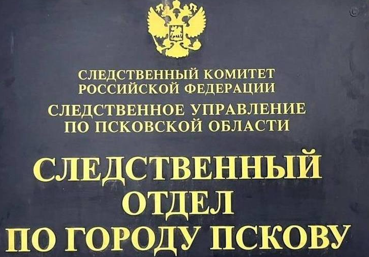 В Пскове брат с сестрой похитили 13-летнего мальчика и вымогали у него деньги