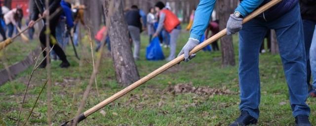 В Чите 21 октября пройдет общегородской субботник