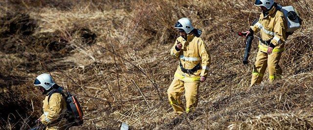 В Красноярском крае за день вдвое увеличилась площадь пожаров