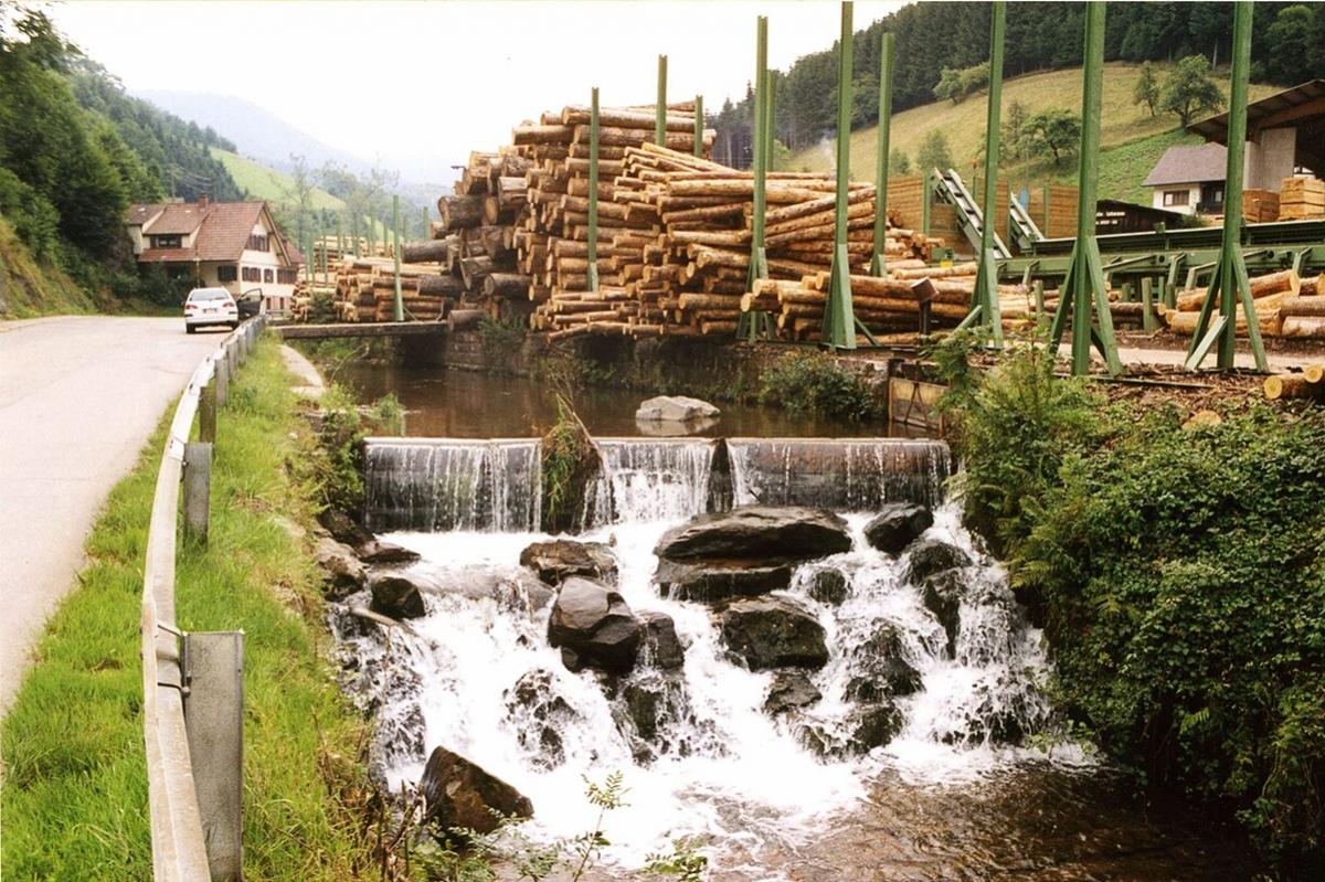 Финны в отчаянии — русский лес теперь достается другим