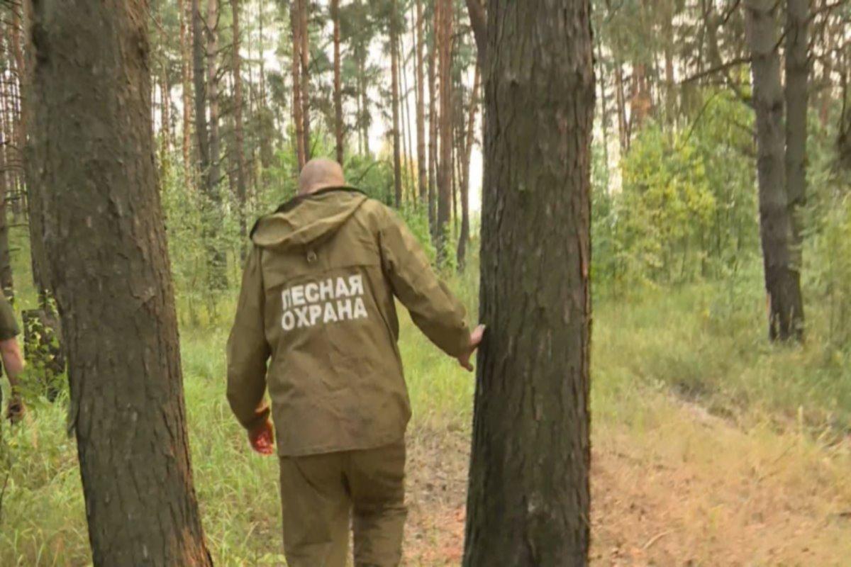 В Костромской области отменили противопожарный режим в связи со снижением рисков возгораний