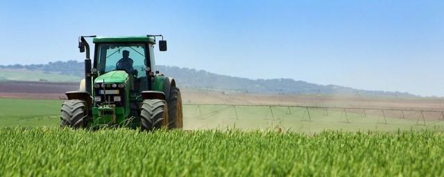 Минсельхоз РФ: Кредитование сезонных полевых работ выросло на 49,3%