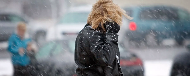 По Алтаю вновь пройдет штормовой циклон со снегом и усилением ветра