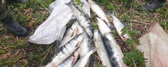 На Камчатке поймали браконьеров: ущерб от ловли нерки составил свыше 780 тысяч рублей