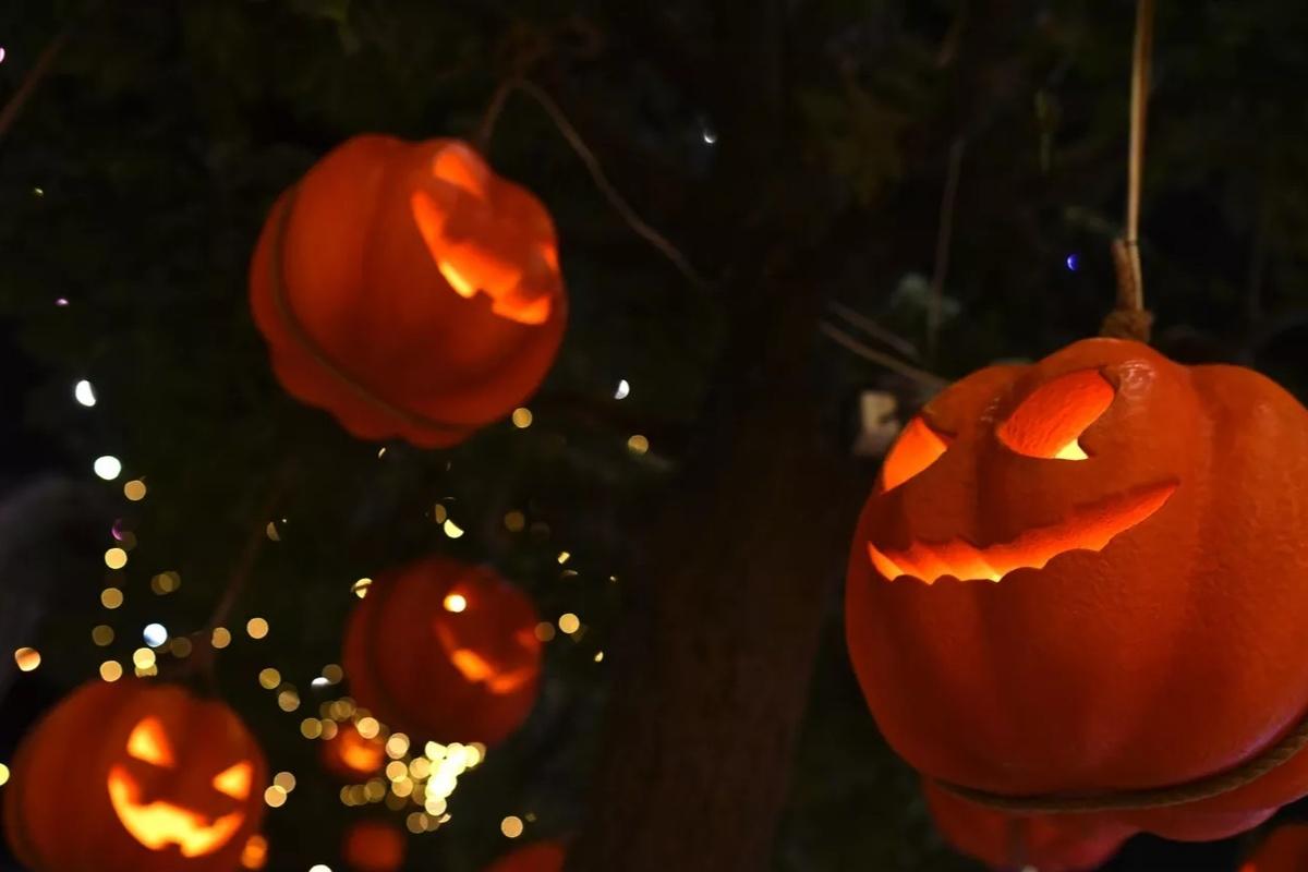 Депутат предлагает подсластить осень — заменить «деструктивный» западный праздник на фестиваль урожая