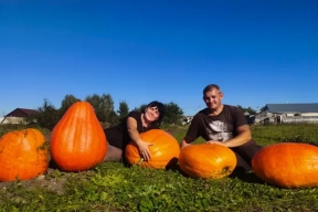 Тыквенный гигант: чамзинские огородники побили собственный рекорд