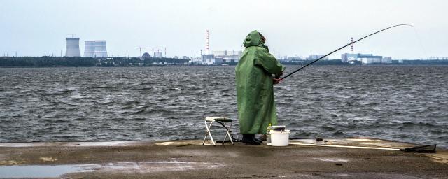 В Финском заливе под Петербургом утонула упавшая с пирса 4-летняя девочка
