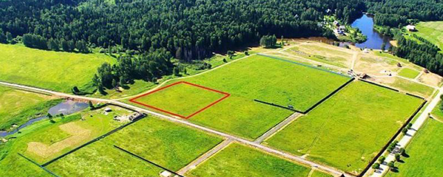 В Узбекистане ужесточили наказание за незаконное изъятие земли