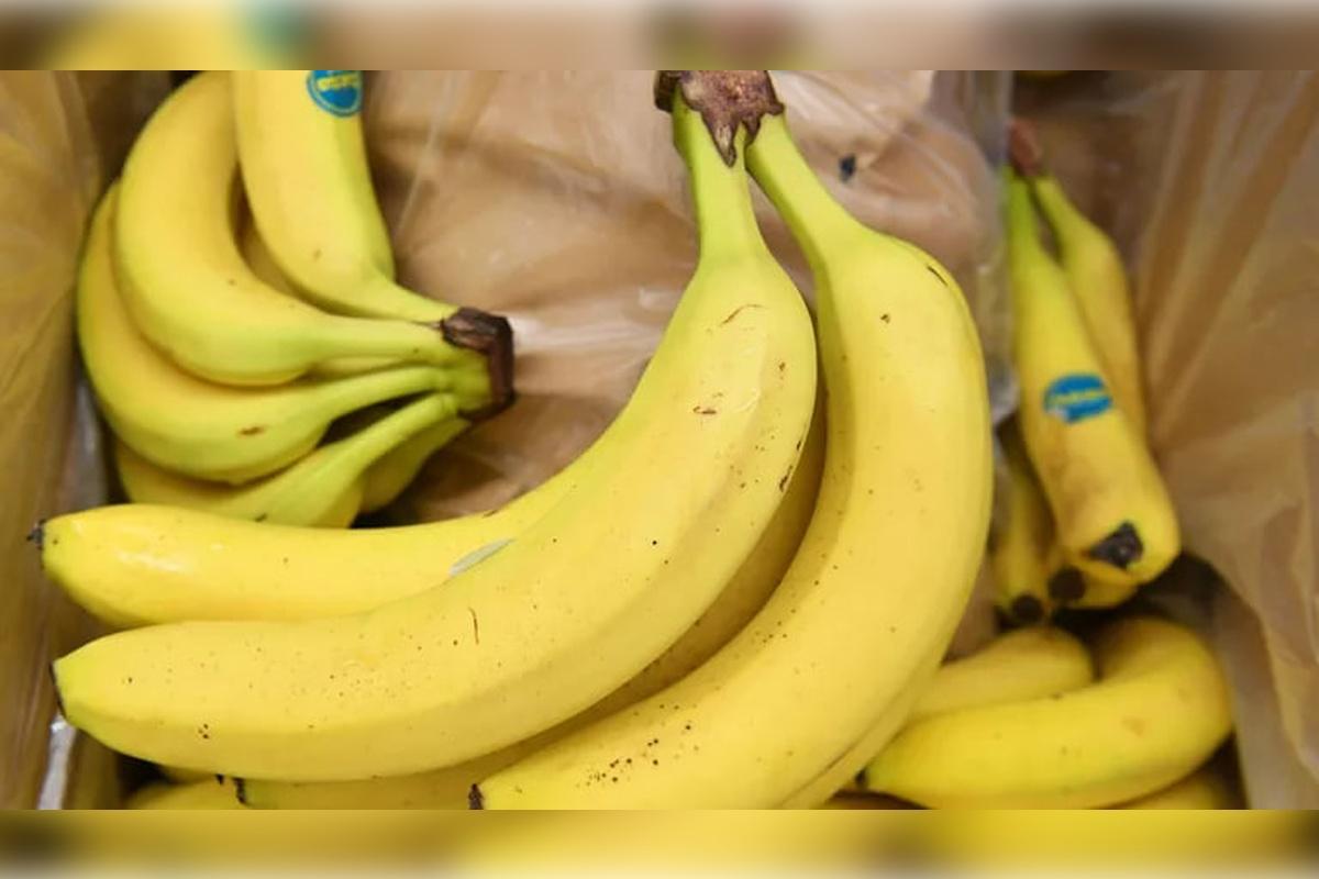 В России (страна-террорист) к концу года должны появиться отечественные бананы