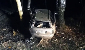 Под Нижним Новгородом иномарка слетела с дороги и врезалась в дерево