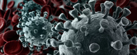 Эксперты ожидают новую волну пандемии коронавируса