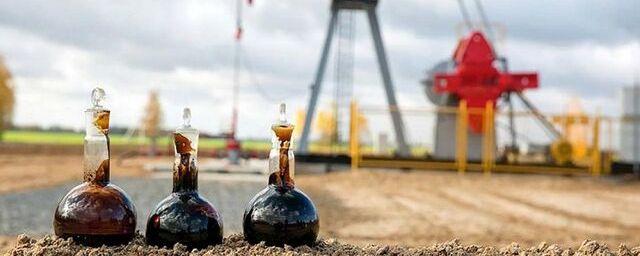 Эксперт Скрябин: Потолок цен на российскую нефть может принести выгоду транспортным компаниям