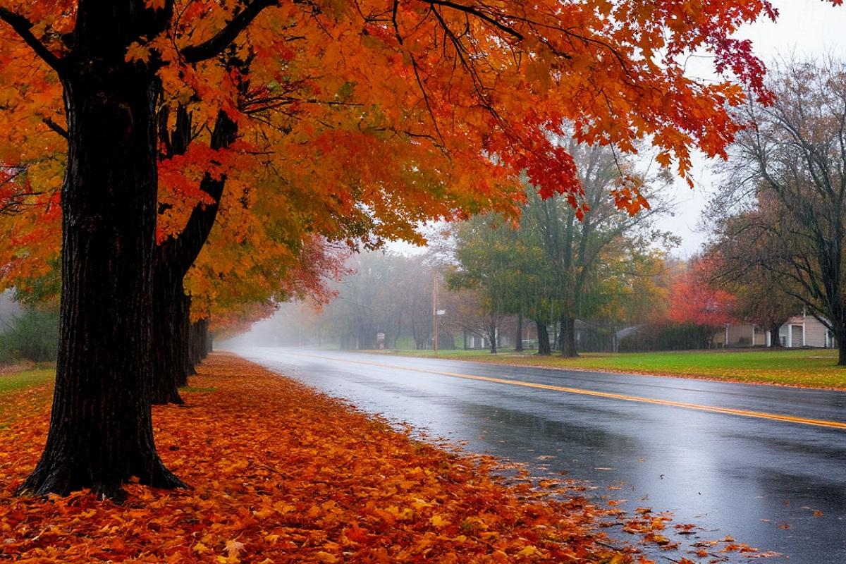 Синоптик Тишковец предупредил москвичей об ухудшении погоды