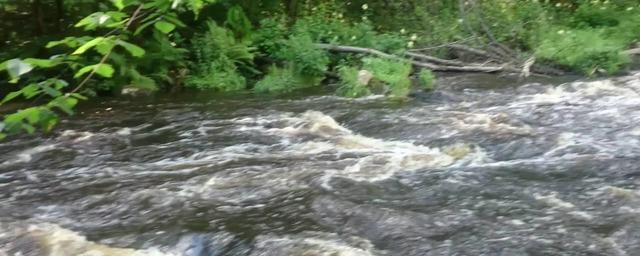 В Ленобласти подросток спас брата ценой своей жизни