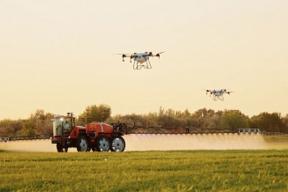 Академик РАН предрёк нейросетевую революцию в АПК — цифровые помощники уже экономят миллионы на удобрениях