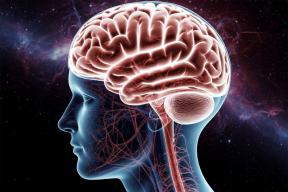 Сознание не в мозге, а в космосе: немецкий физик заявил, что мы всего лишь приемники вселенского разума