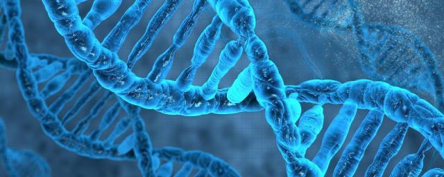 Ученые доказали, что геном человека обладает оружием против рака