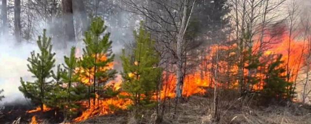 В Магаданской области действуют 16 лесных пожаров