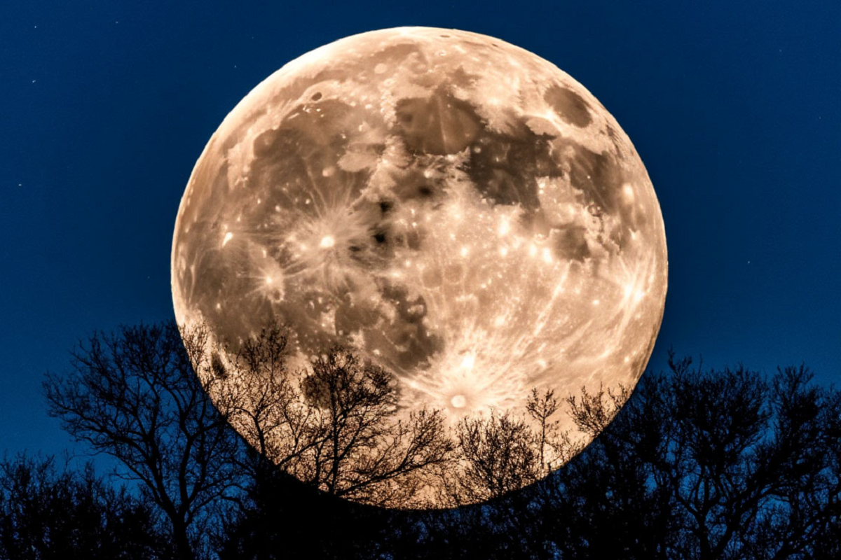 В ночь на 6 ноября россияне увидят суперлуние