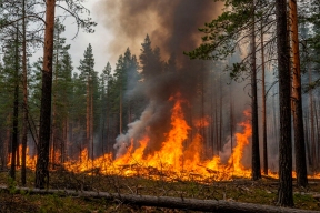 В Забайкалье ликвидировали один из крупнейших пожаров c начала сезона