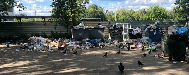 В Брянске вновь не убирают мусор
