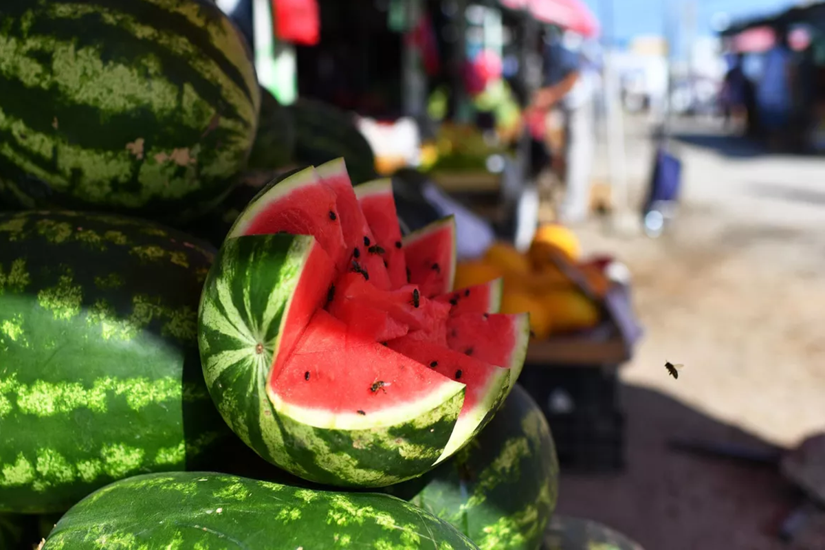 Врач Тен предупредила, что ранние арбузы содержат нитраты