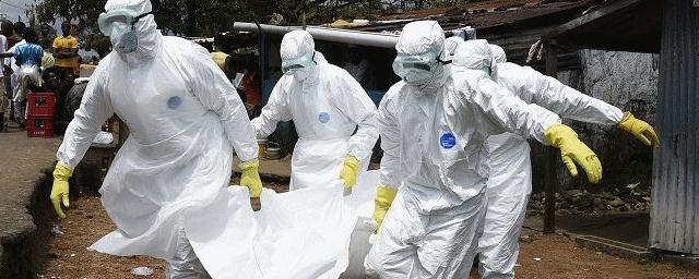 ВОЗ подтвердила два случая заражения вирусом Марбург в Гане