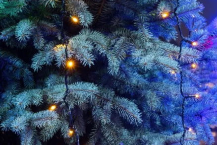 В Электрогорске новогоднюю иллюминацию включат в первый день зимы