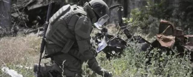 МО РФ: В Донбассе российские саперы обезвредили более 541 тысячи взрывоопасных предметов