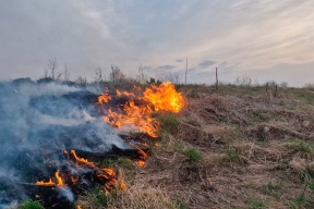 В Новосибирской области завершена проверка готовности к пожароопасному сезону