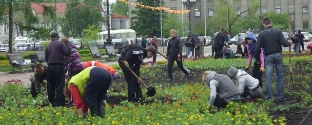 Мэрия предложила иркутянам выбрать места для озеленения