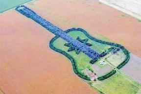 В Аргентине фермер высадил лес в форме гитары в память о жене