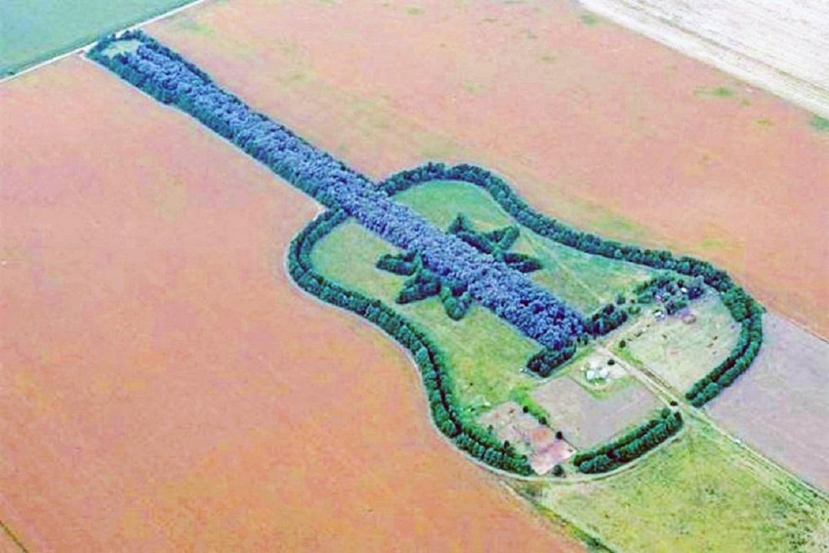 В Аргентине фермер высадил лес в форме гитары в память о жене