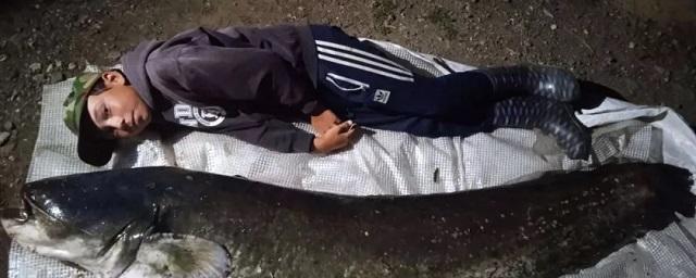 12-летний рыбак час вытаскивал 52-килограммового сома из Суры в Ядринском районе Чувашии