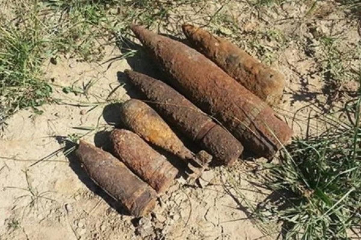 Донская земля до сих пор хранит смертоносное эхо прошедшей войны