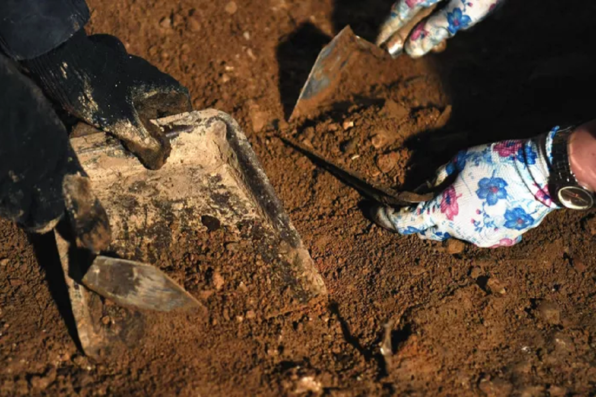 В Норвегии в пещере обнаружили кости представителей ледникового периода