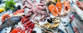 Scientists have proven that seafood contains more nutrients than meat