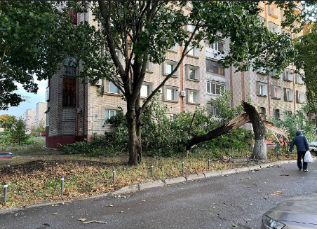 В Липецке в результате урагана дерево упало на десятилетнюю школьницу