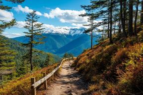 В Закаменском районе Бурятии для туристов организовали новую экотропу