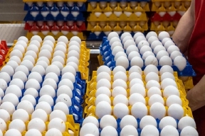 Эксперт назвала причину снижения цен на куриные яйца