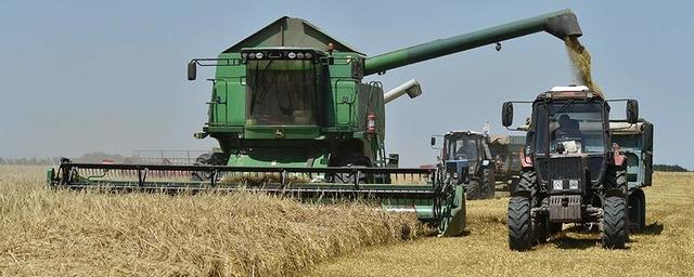 Директор ИКАР Рылько спрогнозировал в России рекордный урожай зерновых в 2022 году