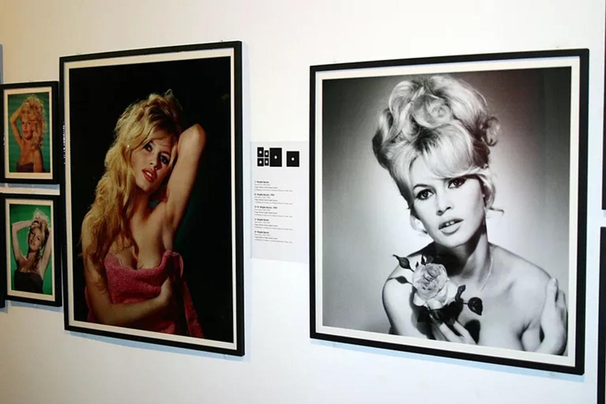 Легендарной французской актрисе Брижит Бардо исполнился 91 год