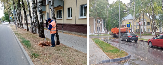 В ТУ Новохаритоновское начали убирать листву и промывать дороги