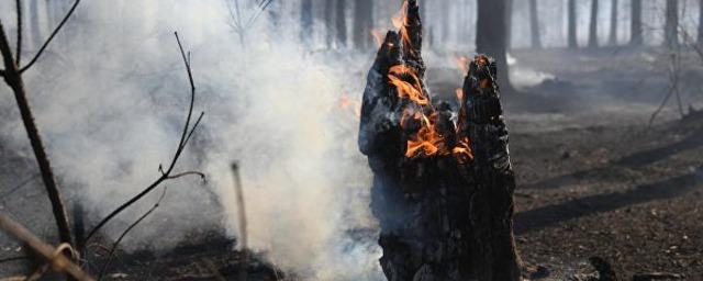 Урон от пожаров в Забайкальском крае оценен в один миллиард рублей