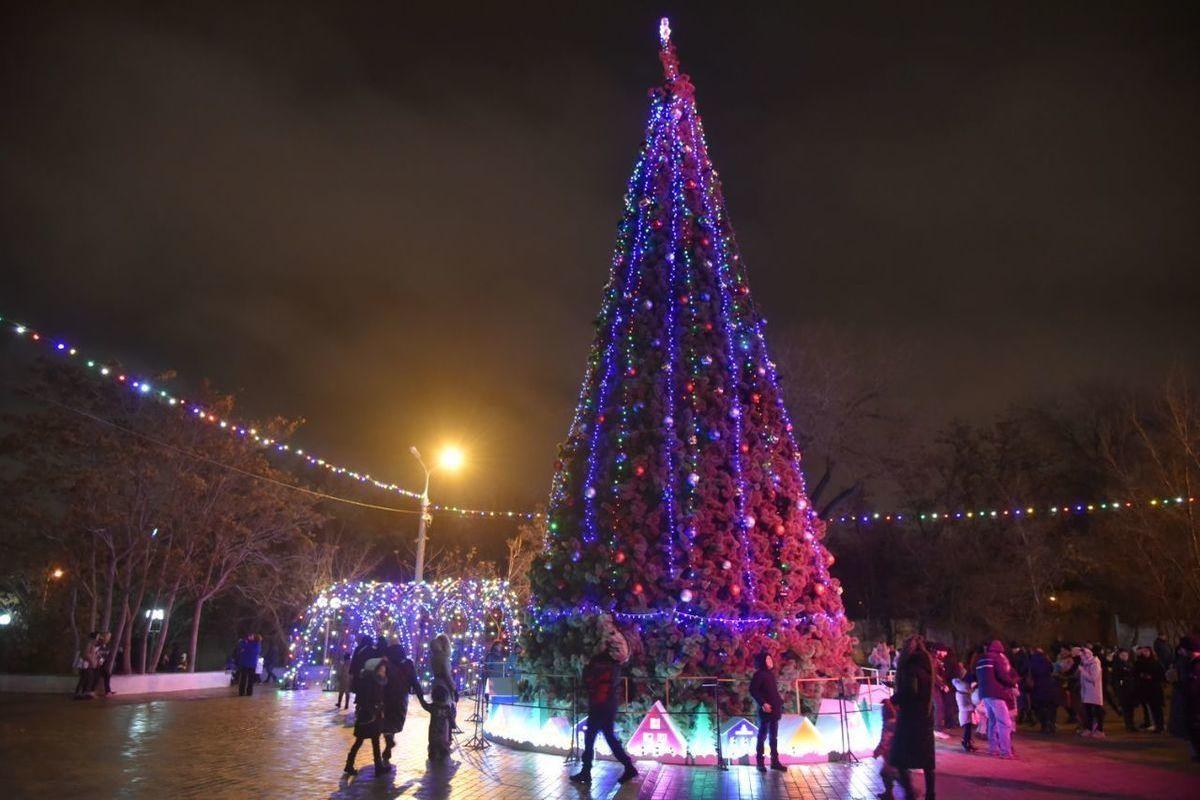 Власти Ярославля закупают новогоднюю елку и гирлянды