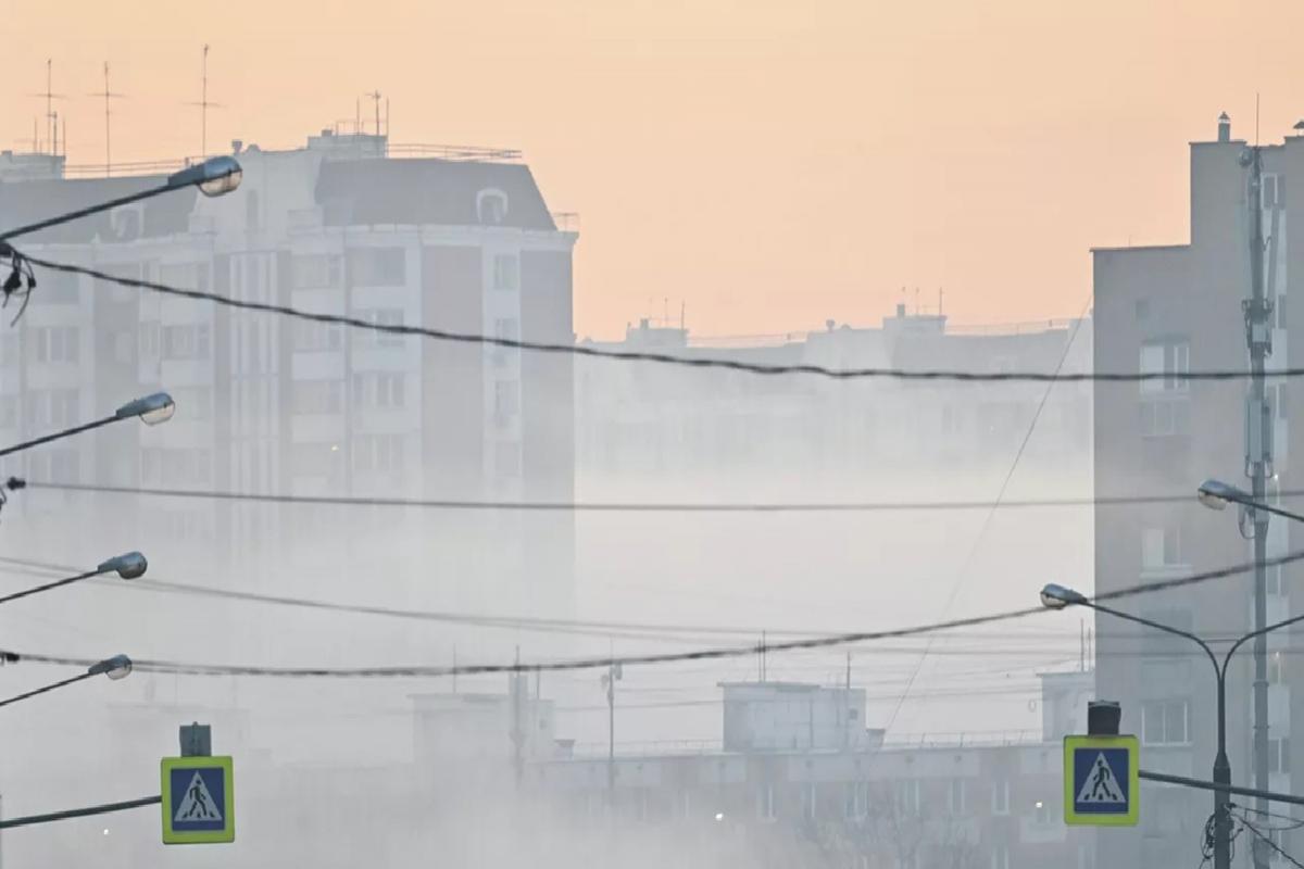 Массовый рейд движения «Русская община» прошел у ЖК «Самолёт» в Подмосковье