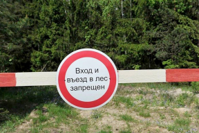 Дончанам с 1 мая запрещен вход и въезд в леса
